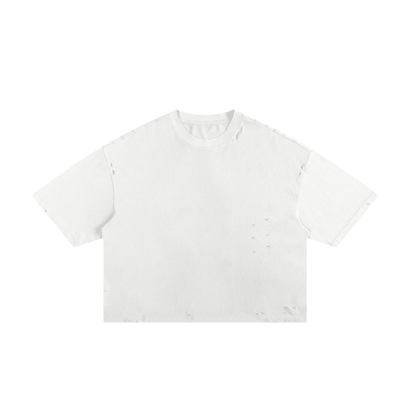 Classic Frayed Boxy Tee - 250 GSM (BACK)